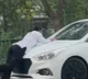 'Boyfriend' drags woman on car bonnet in Lucknow