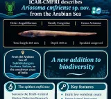 New conger eel species from Arabian Sea named after CMFRI