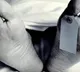 Woman kills lover by hitting with iron rod and pouring acid