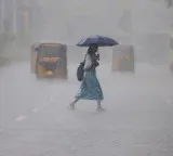 Telangana Heavy Rain Forecast for Next Five Days