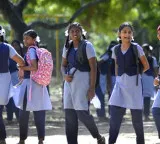 Andhra Pradesh Dasara holidays schools get extra two days off