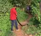 King Cobra swallows python unexpected twist during rescue operation