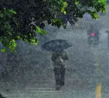 Telangana Rains Heavy Rainfall Forecast Due To Low Pressure Area