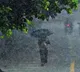 Telangana Rains Heavy Rainfall Forecast Due To Low Pressure Area