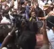 Gottipati Ravi Kumar and Eluri Sambasiva Rao slam YSRCP over attack on teachers