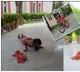 Baba Ramdev shares five bodyweight exercises for youth fitness