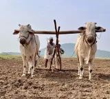 Alert for Telangana farmers complete this task by September 30