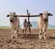 Alert for Telangana farmers complete this task by September 30