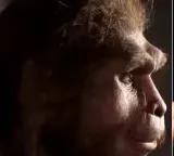 Modern humans alone on Earth for 40000 years what happened to other human species