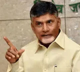 Chandrababu Naidu whirlwind tour in Kuppam launches projects worth hundreds of crores