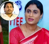 YS Sharmila clarifies on meeting Jagan and daughter wedding politics