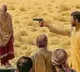 Pakistan: In yet another honour killing, newly married woman shot dead in Karachi