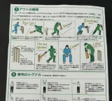 Asian Games: Cricket gets a crash course for Japanese fans as organisers roll out easy-to-follow guide