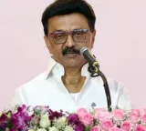 TVK demands Stalin‘s explanation over handling of Veeramani POCSO case