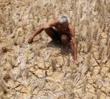 Super El Nino threat Lakhs of deaths predicted by February