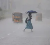 Telangana Rains Red Alert Issued For Several Districts Today And Tomorrow