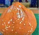Ganesh Laddu Auction record set at Keerthi Richmond Villas Hyderabad