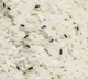 Rice bugs prevention and simple tips to keep them away