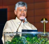 Chandrababu Naidu welcomes ECI clarification, urges respect for institutions