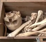 Skeleton in wooden box in Delhi the real truth revealed in investigation
