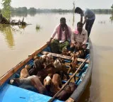Godavari River surge at Bhadrachalam warning issued for catchment areas