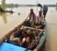 Godavari River surge at Bhadrachalam warning issued for catchment areas