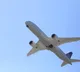 Boeing 737 Max software glitches impact 96 aircraft in India