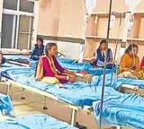 Lizard in Sambar 19 girl students hospitalized in Tuni