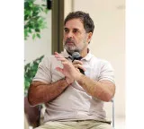 Rahul Gandhi reacts strongly after Minister slaps youth