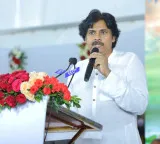 Pawan Kalyan alerts officials over elephant movement in Chittoor district
