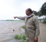 Andhra Pradesh heavy rains damage crops in 44000 hectares