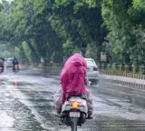 Rain alert for 6 districts in Andhra Pradesh public warned to stay alert