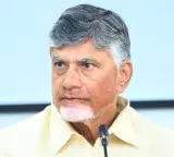 Chandrababu Naidu orders IIT and IIM training for government employees