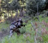 Top Lashkar commander killed in encounter in J&K’s Budgam