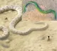 Dog faced water snake in green camouflage strange sight in Mumbai