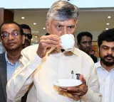 Chandrababu Naidu aims to make Araku a global coffee destination