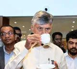 Building Araku into a premier global coffee destination: Chandrababu Naidu