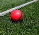 Pink ball trial in day Tests, time-wasting penalties among major ICC Playing Conditions tweaks