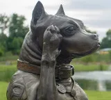 Sergeant Stubby the war dog who made history in World War I