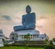 Amaravati Outer Ring Road Tenders Invited for 11537 Crore Projects