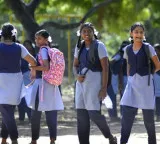 Telangana Dasara holidays confirmed 13 days for schools and 12 days for colleges