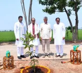 Chandrababu Naidu Hails Pemmasani Chandrasekhar as ‘Political Hero’, Praises Nadendla Manohar at PMAY Bhumi Puja in Burripalem
