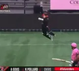Kieron Pollard Canada League rare scene bouncer into stands umpire gives 5 runs