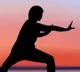 Tai Chi Health Benefits Slow Movement Over Running