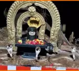 Three King Cobras Entered Into Shiva Lingam In A Temple in Nellore District