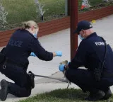 2 pedestrians fatally struck by vehicle in Australia's New South Wales