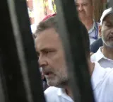 'Not only countering, going to destroy them': Rahul Gandhi amid INDIA Bloc protest