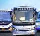 TGSRTC to run 7000 special buses for Dasara with doorstep pickup service