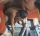 UP: Four students die after entering water tank in Mathura, one critical