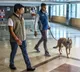 Hoax bomb scare at Kolkata Airport; nothing found after thorough search